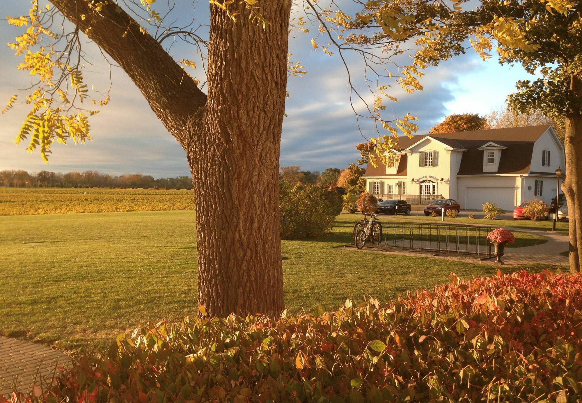 Hotel Riverbend & Vineyard 4*